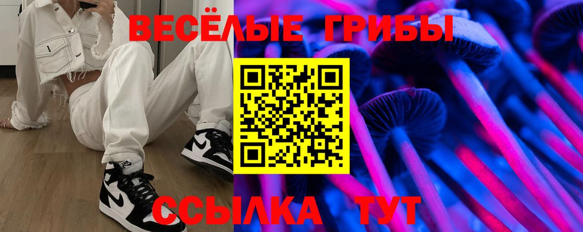 Псилоцибиновые грибы GOLDEN TEACHER  Псилоцибиновые грибы Psilocybe  Вход с VPN  Озёрск 